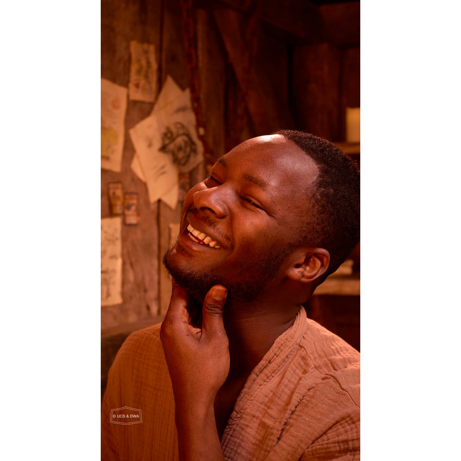 Chief Stoick - Image 6