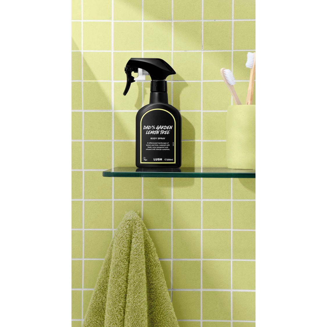 Dad's Garden Lemon Tree - Image 2