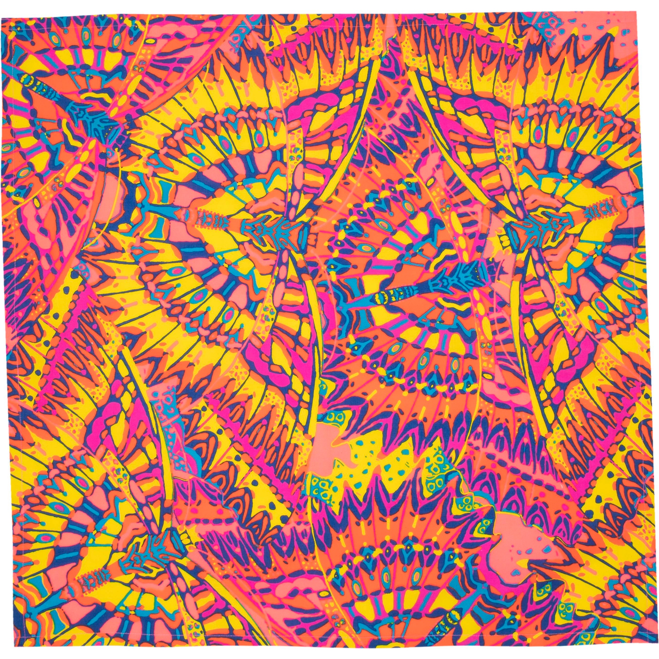 The Butterfly Effect